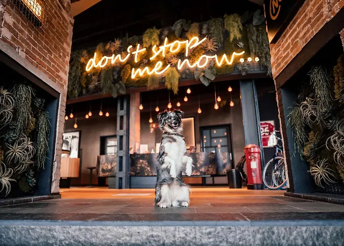 Me And Hanover, By Hyatt ハノーファー