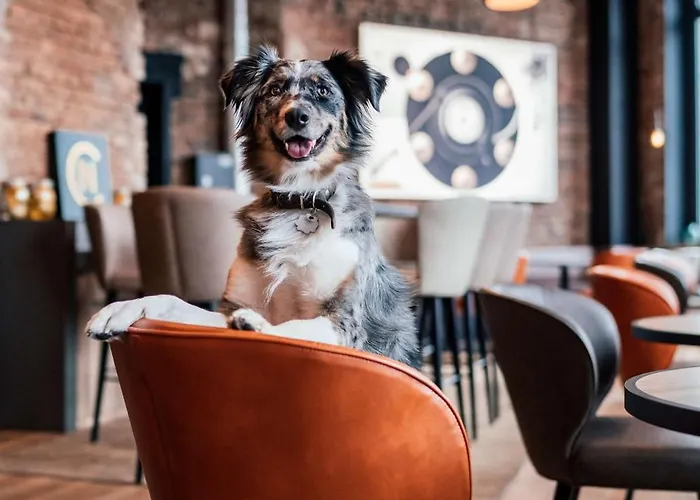 ホテル Me And Hanover, By Hyatt